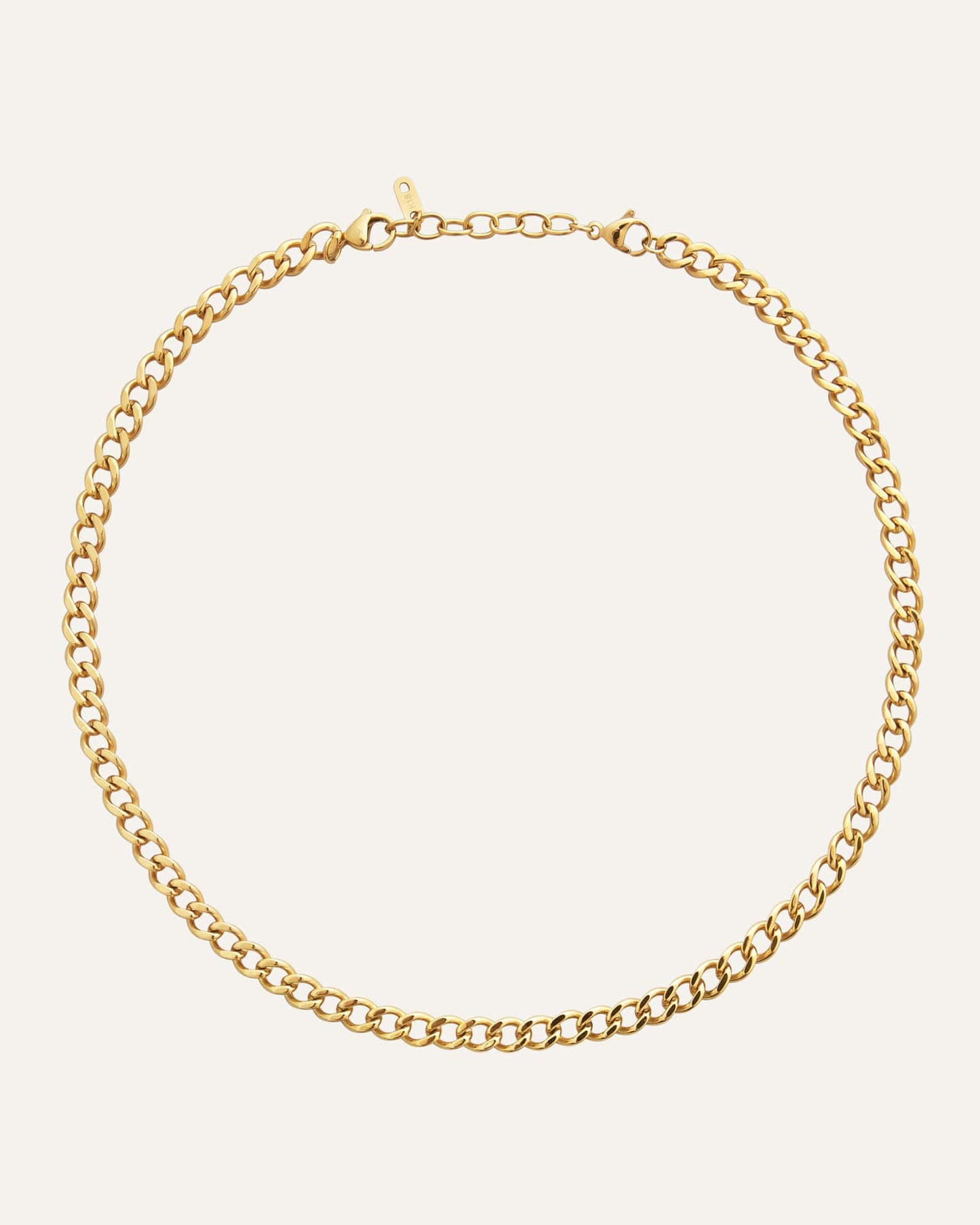 Curb chain necklace