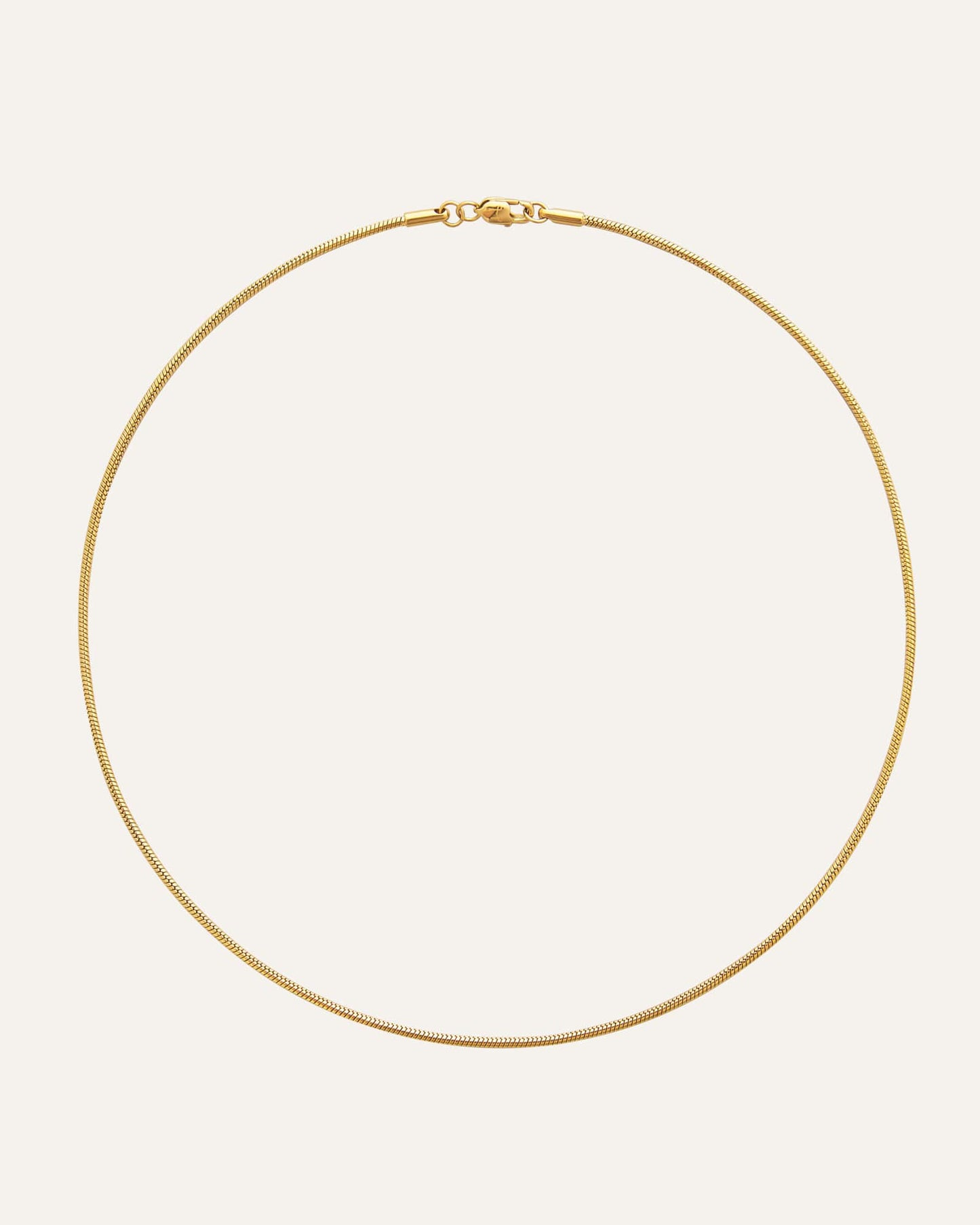 Snake chain necklace