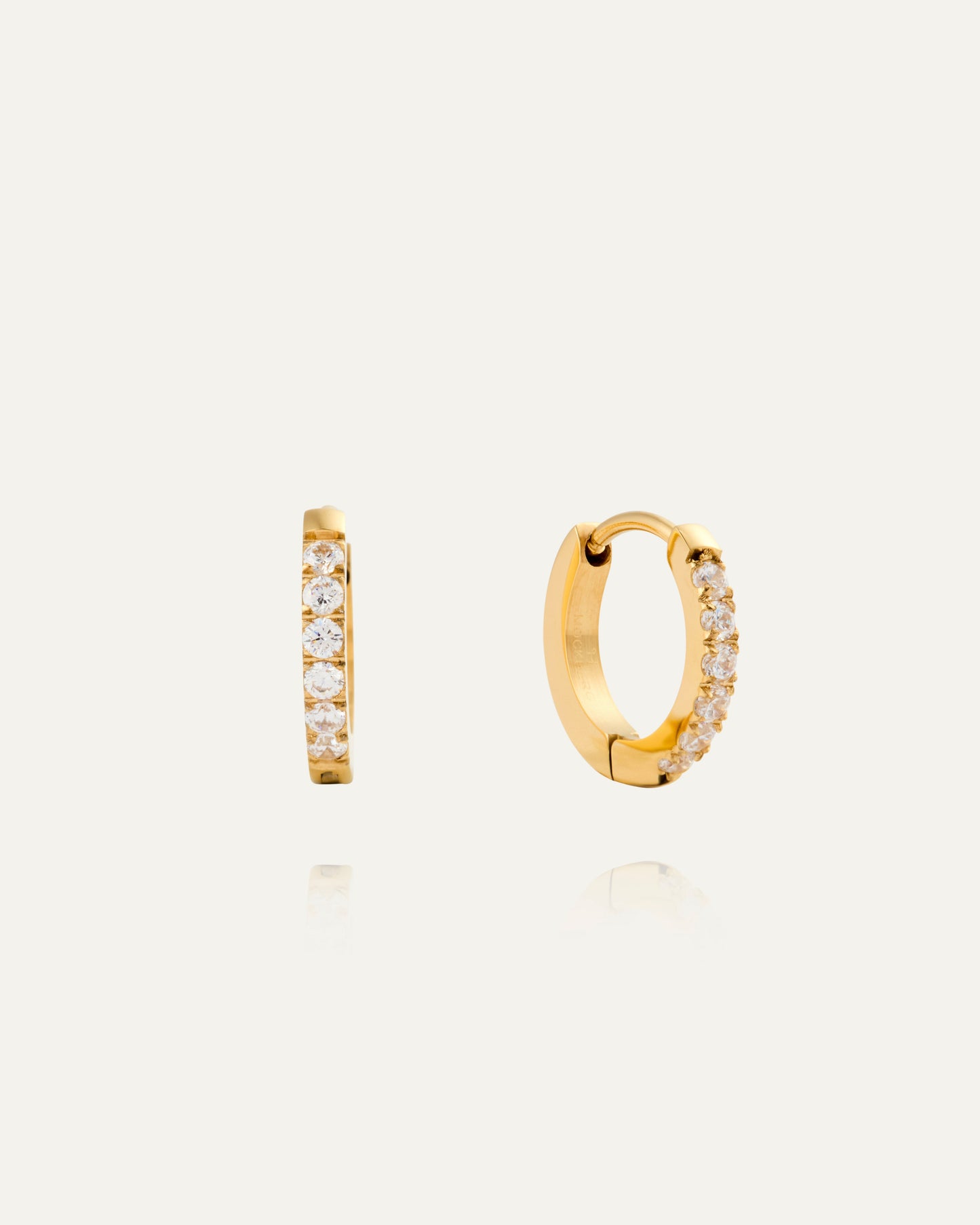 Shiny Hoops Small