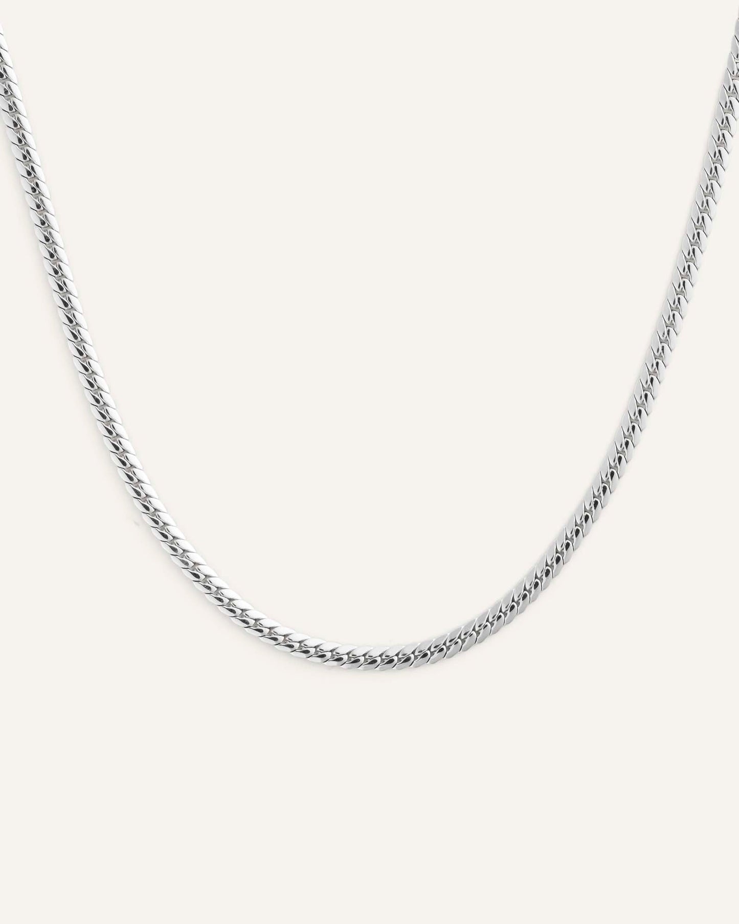Serpentine Chain Steel Small Necklace